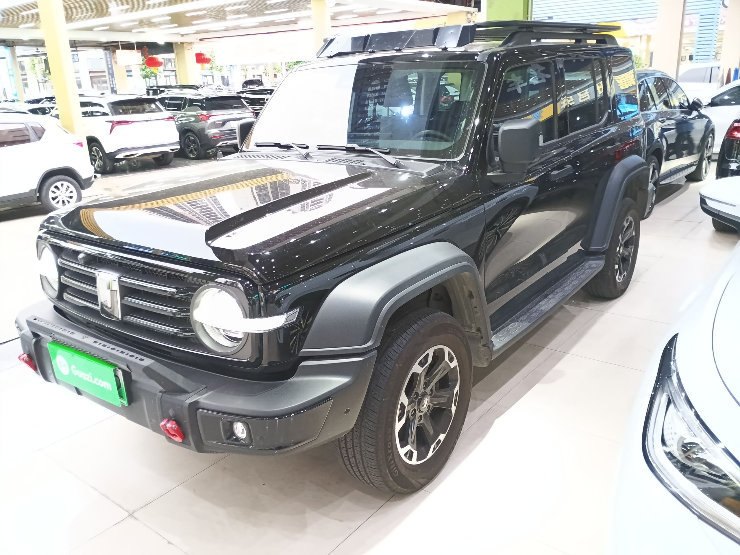 Tank 300 New Energy 2025 car image 