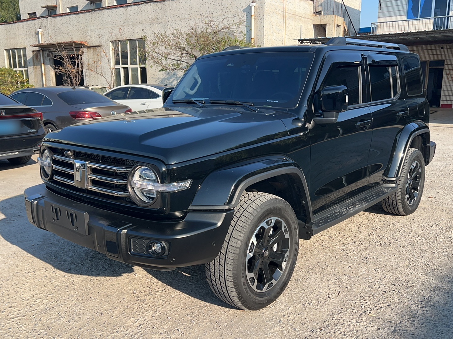 Tank 300 New Energy 2024 car image 