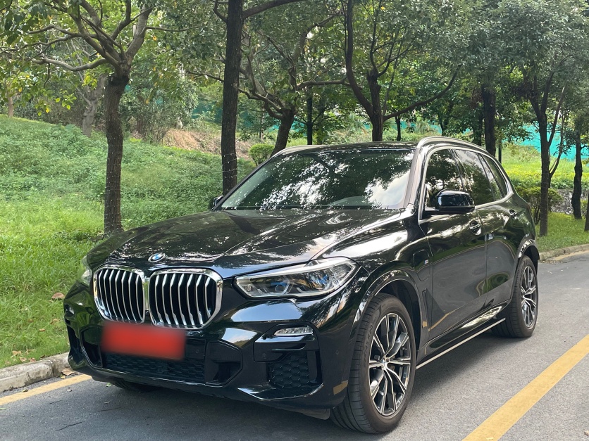 BMW X5 New Energy (Imported) 2021 car image 