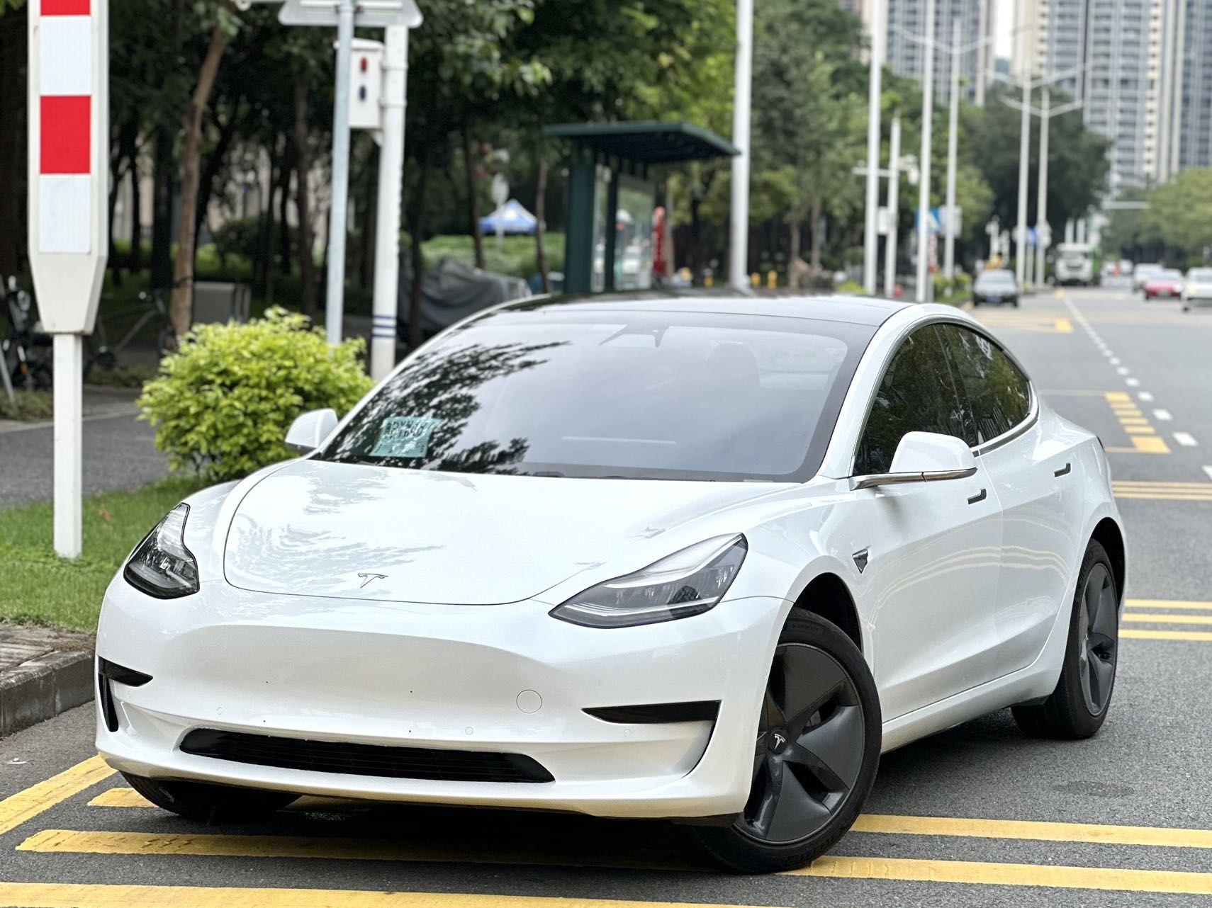 Tesla Model 3 (Imported) 2019 汽车图片 