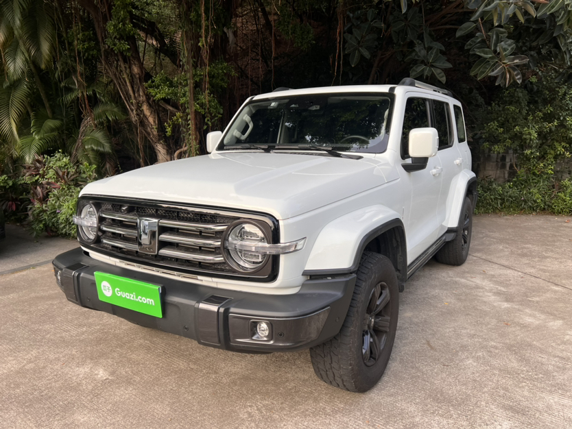 坦克 坦克300 2023 汽车图片 