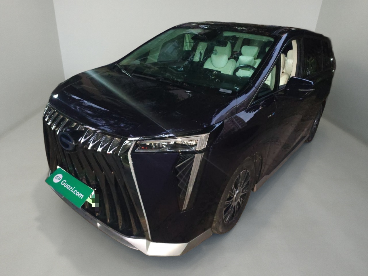 GAC Trumpchi E9 2023 GAC Trumpchi E9 2023 car image