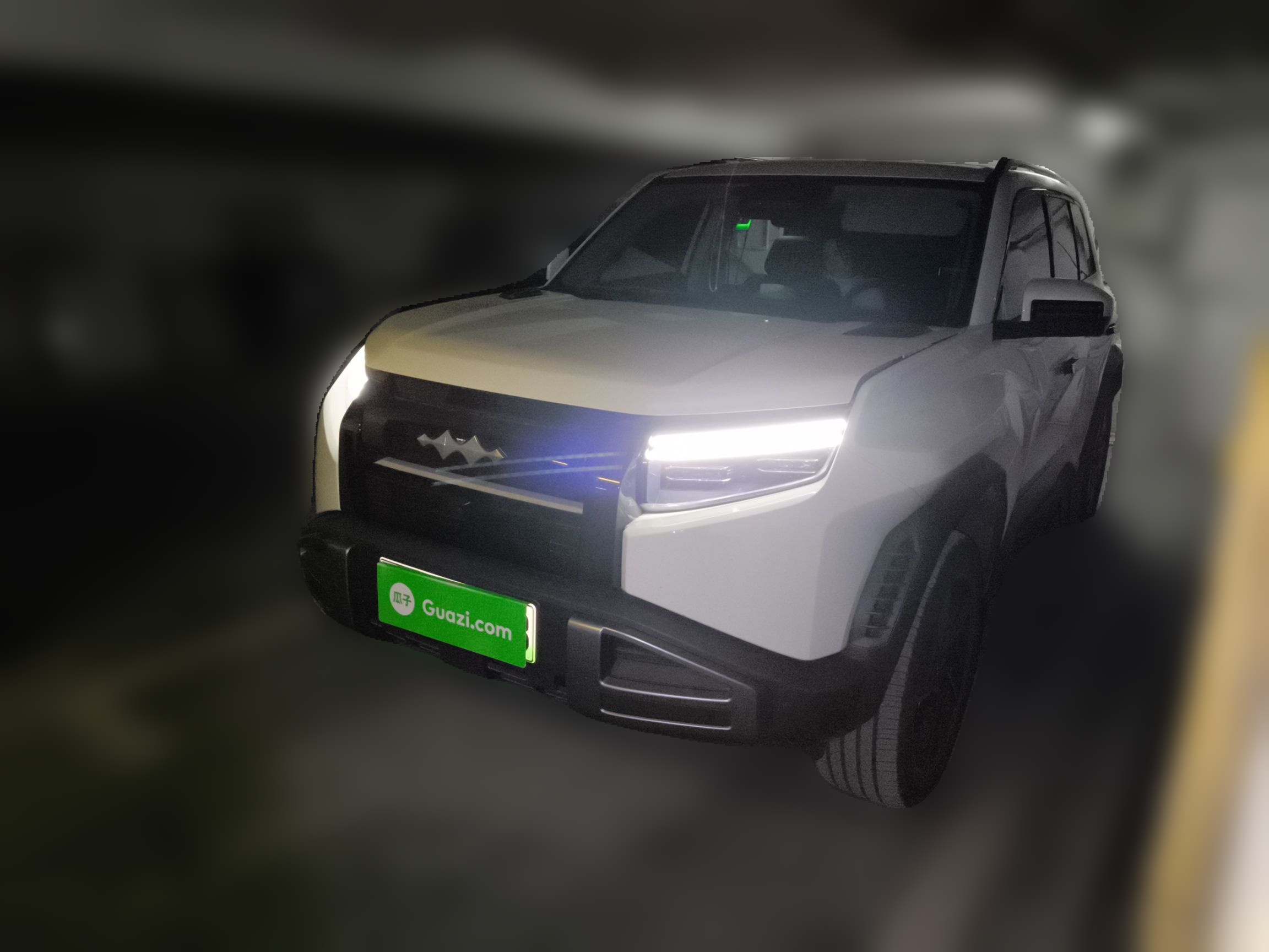 FangChengBao Tiger 3 2025 car image 