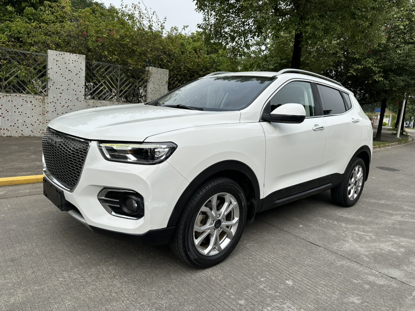 Haval H2s 2019 car image 