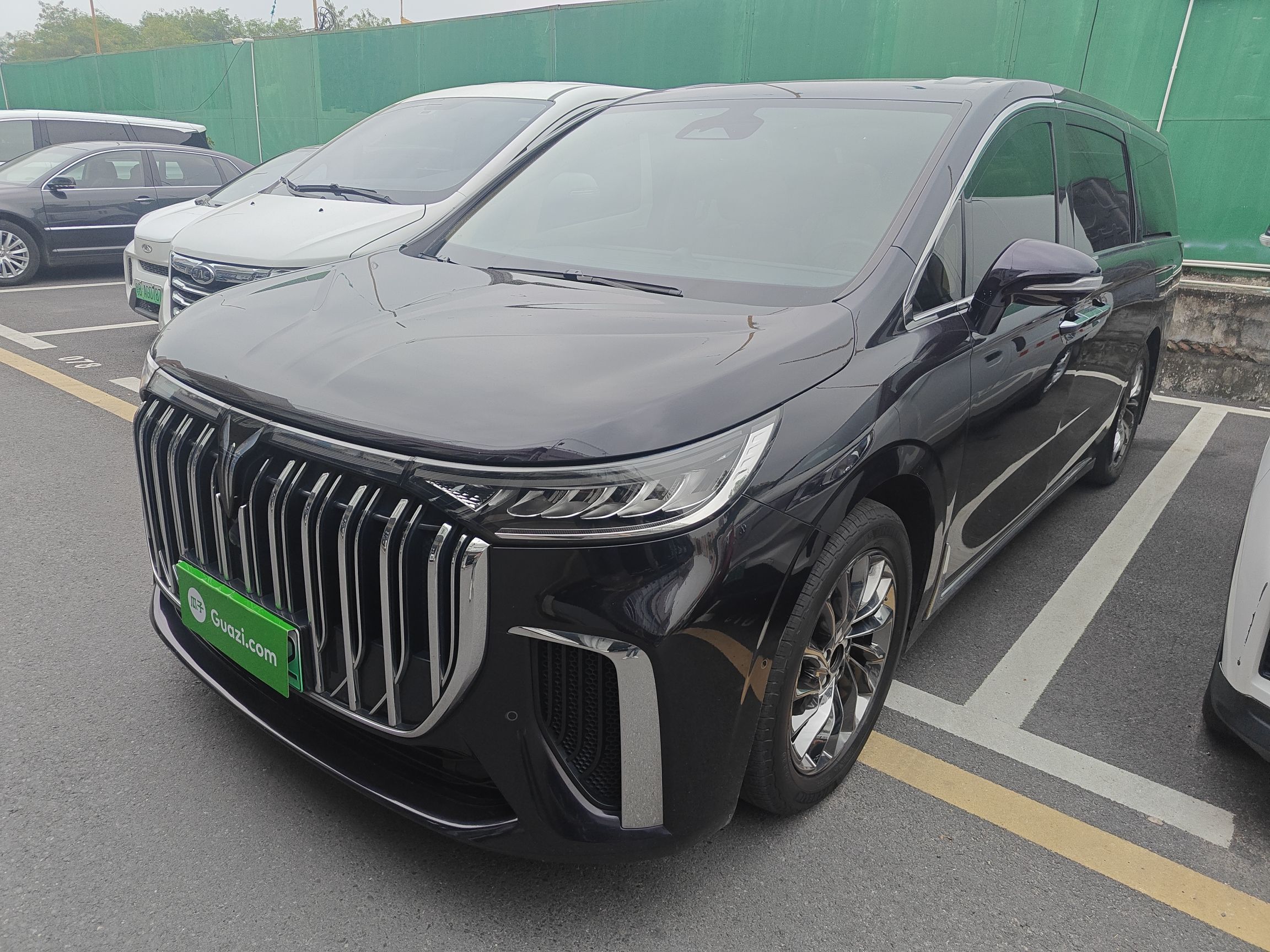 岚图汽车 岚图梦想家 2022 汽车图片 