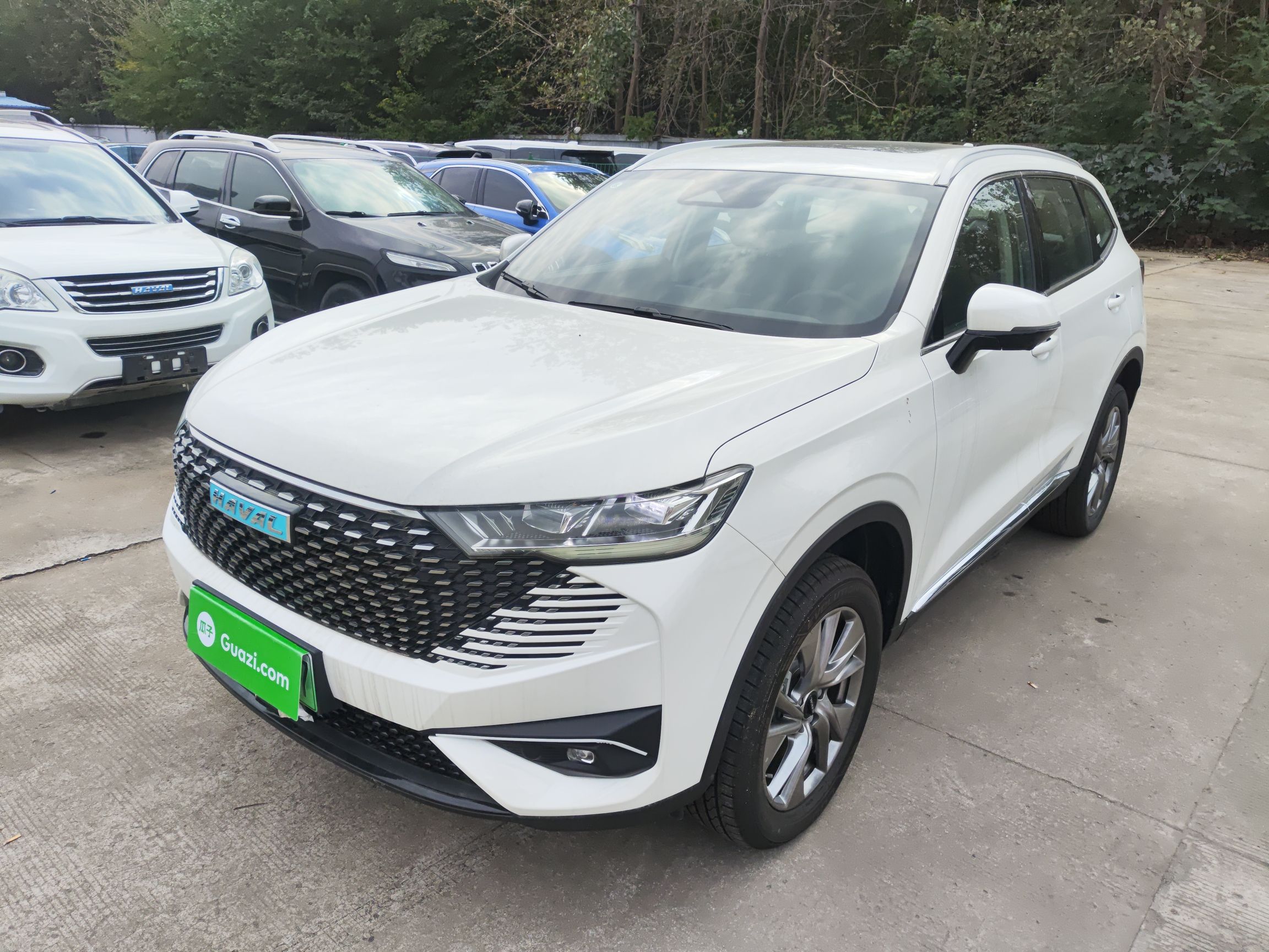 Haval H6 2025 car image 