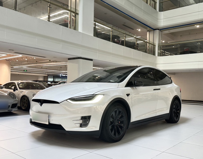 Tesla Model X 2019 car image 
