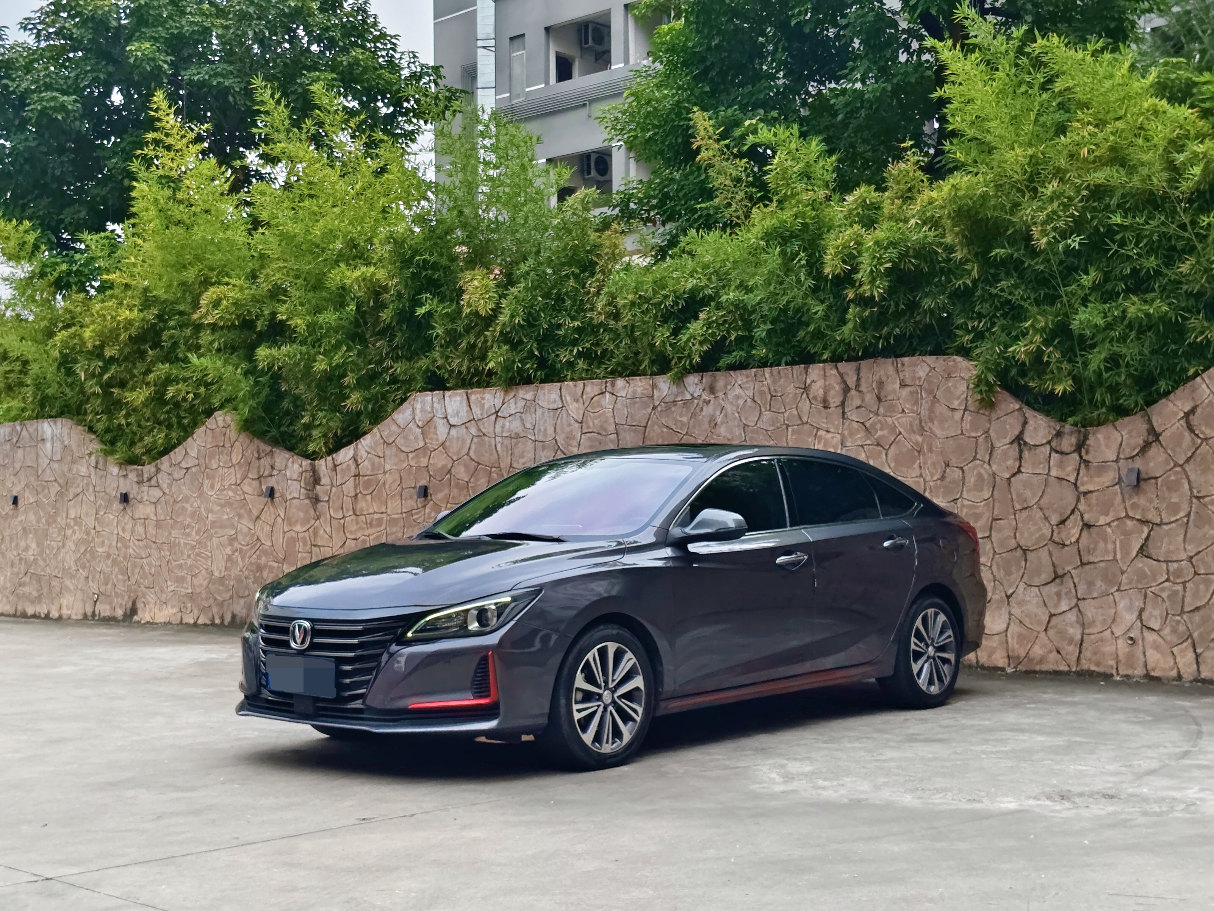 Changan Raeton CC 2020 汽车图片 