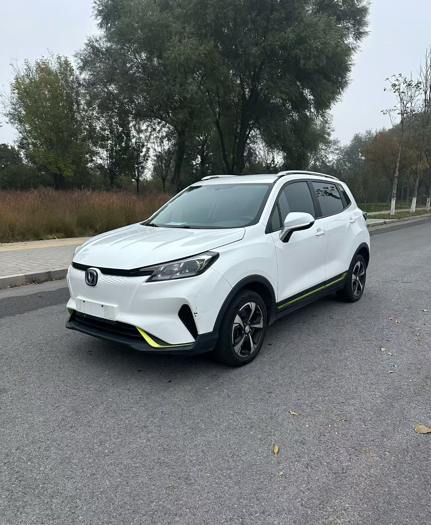 Changan E-Pro New Energy 2020 Changan E-Pro New Energy 2020 car image