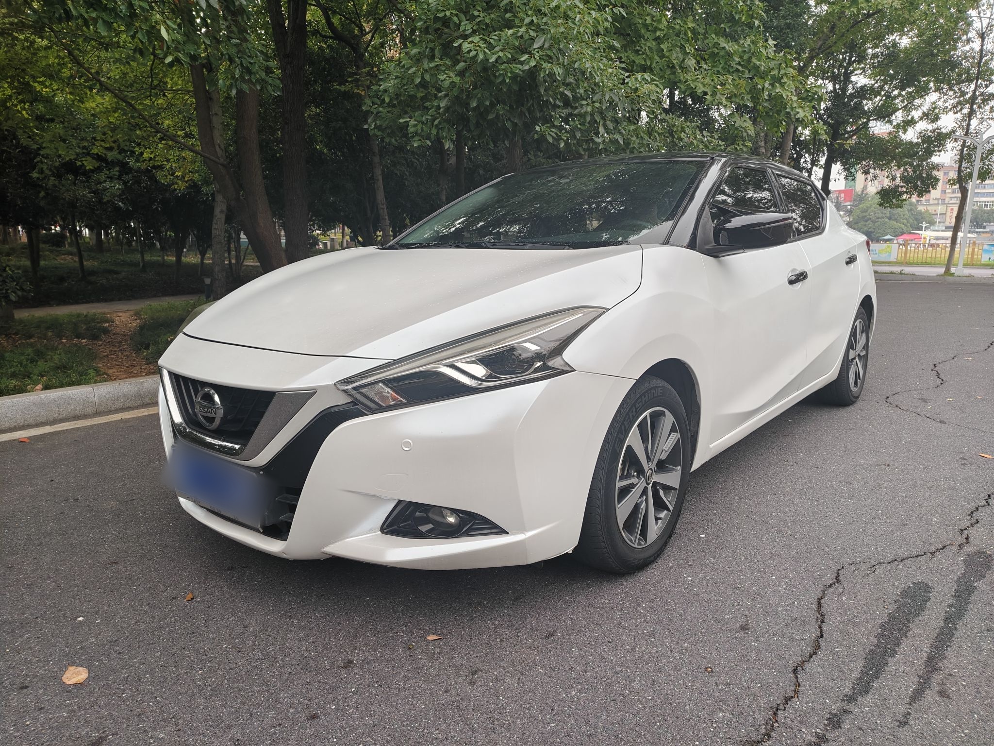 Nissan Bluebird Classic 2019 汽车图片 