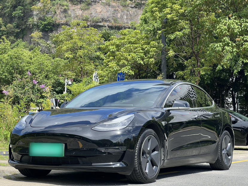 Tesla Model 3 (Imported) 2019 汽车图片 