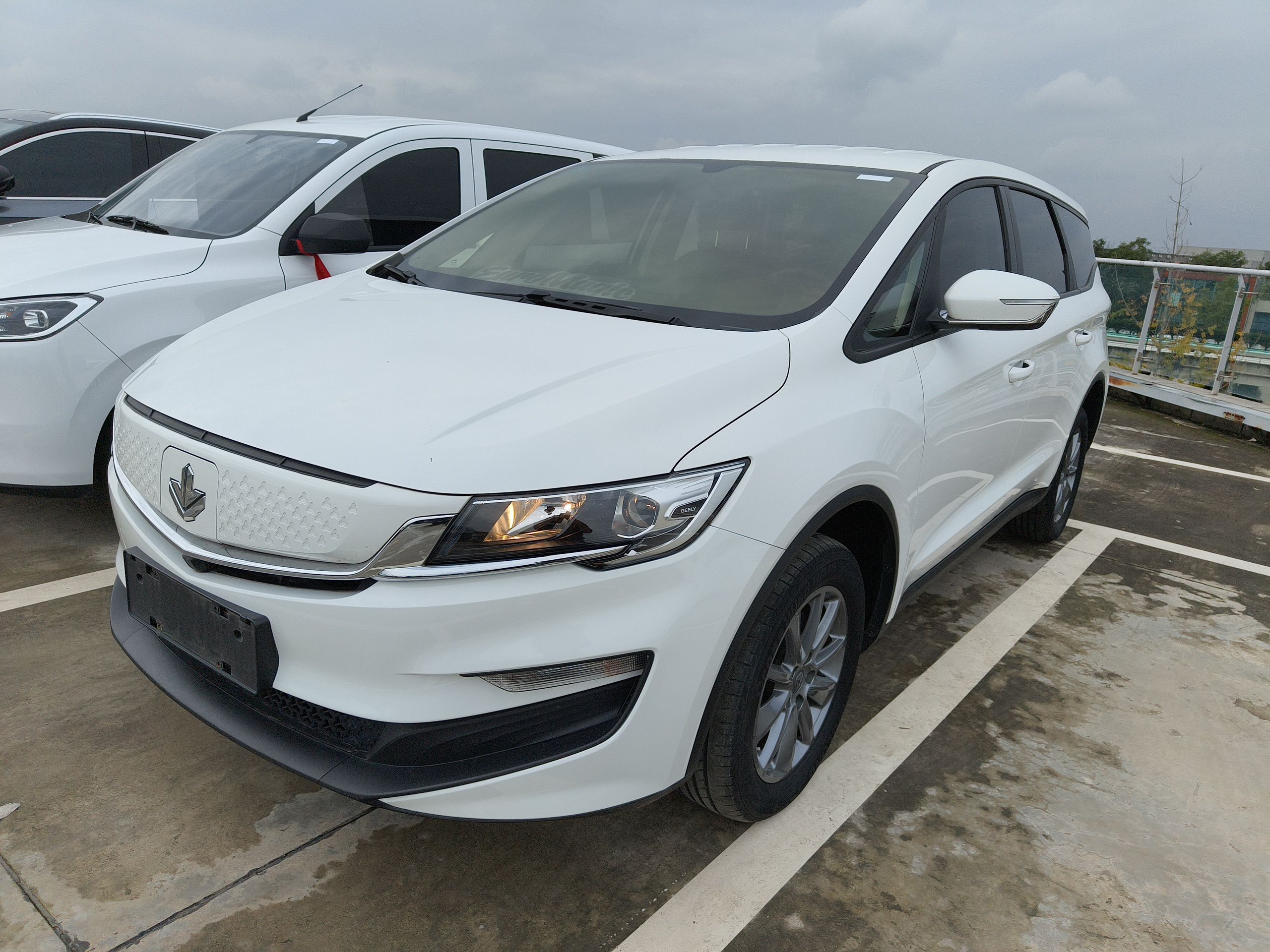 Livan Maple 80V 2021 汽车图片 