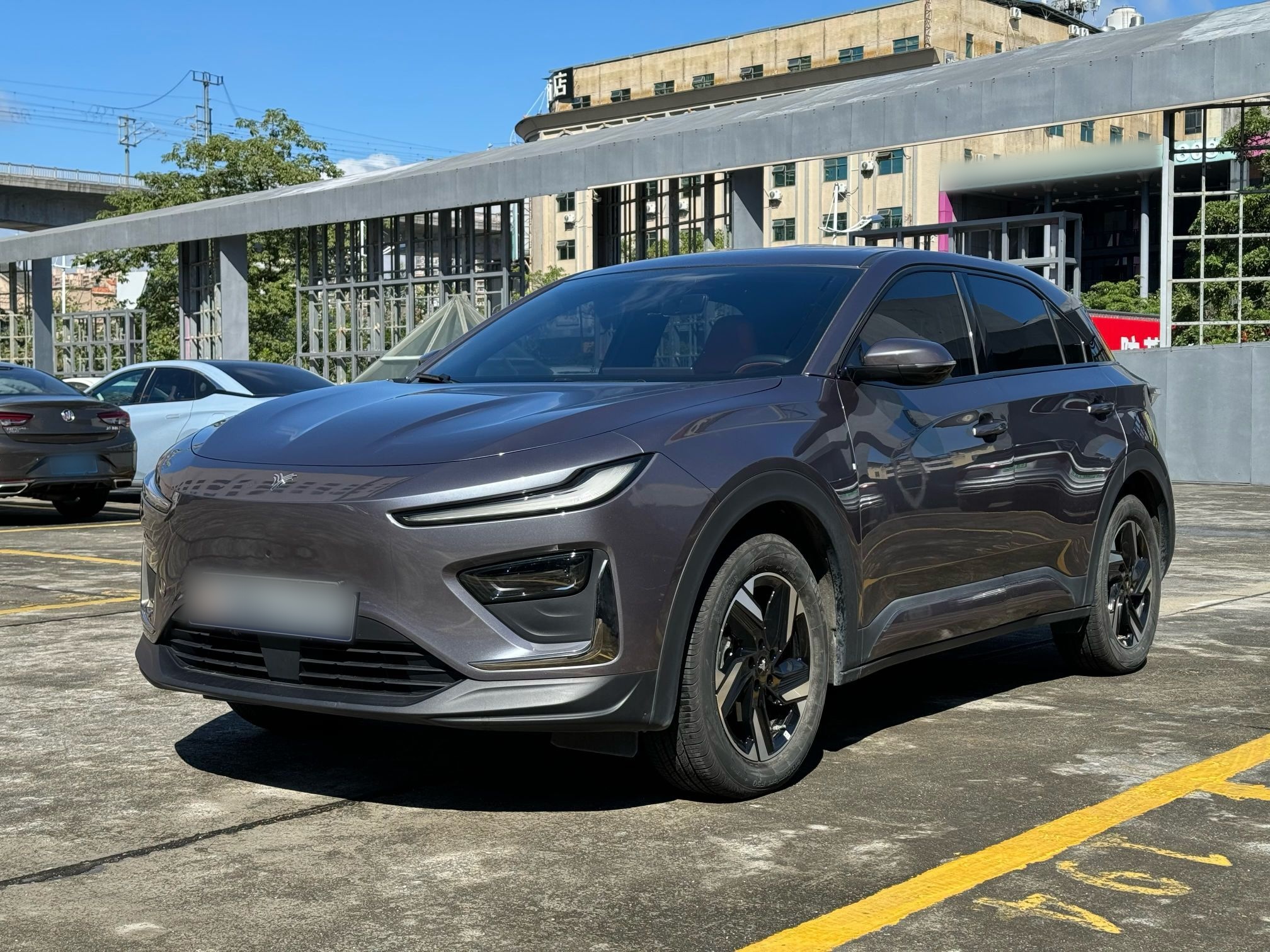 Neta X 2024 汽车图片 