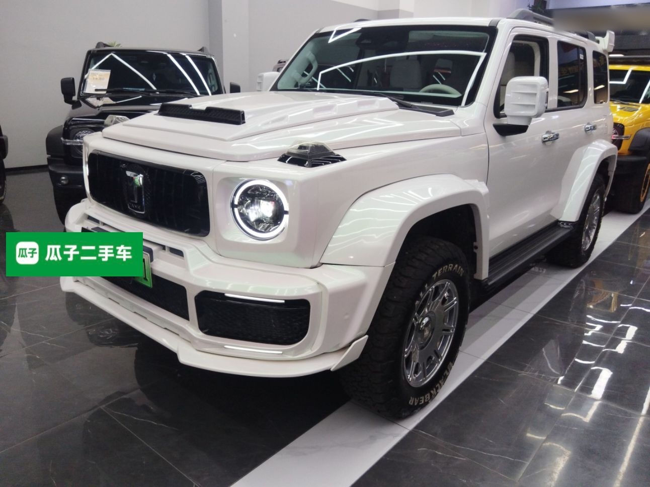 Tank 300 New Energy 2025 car image 