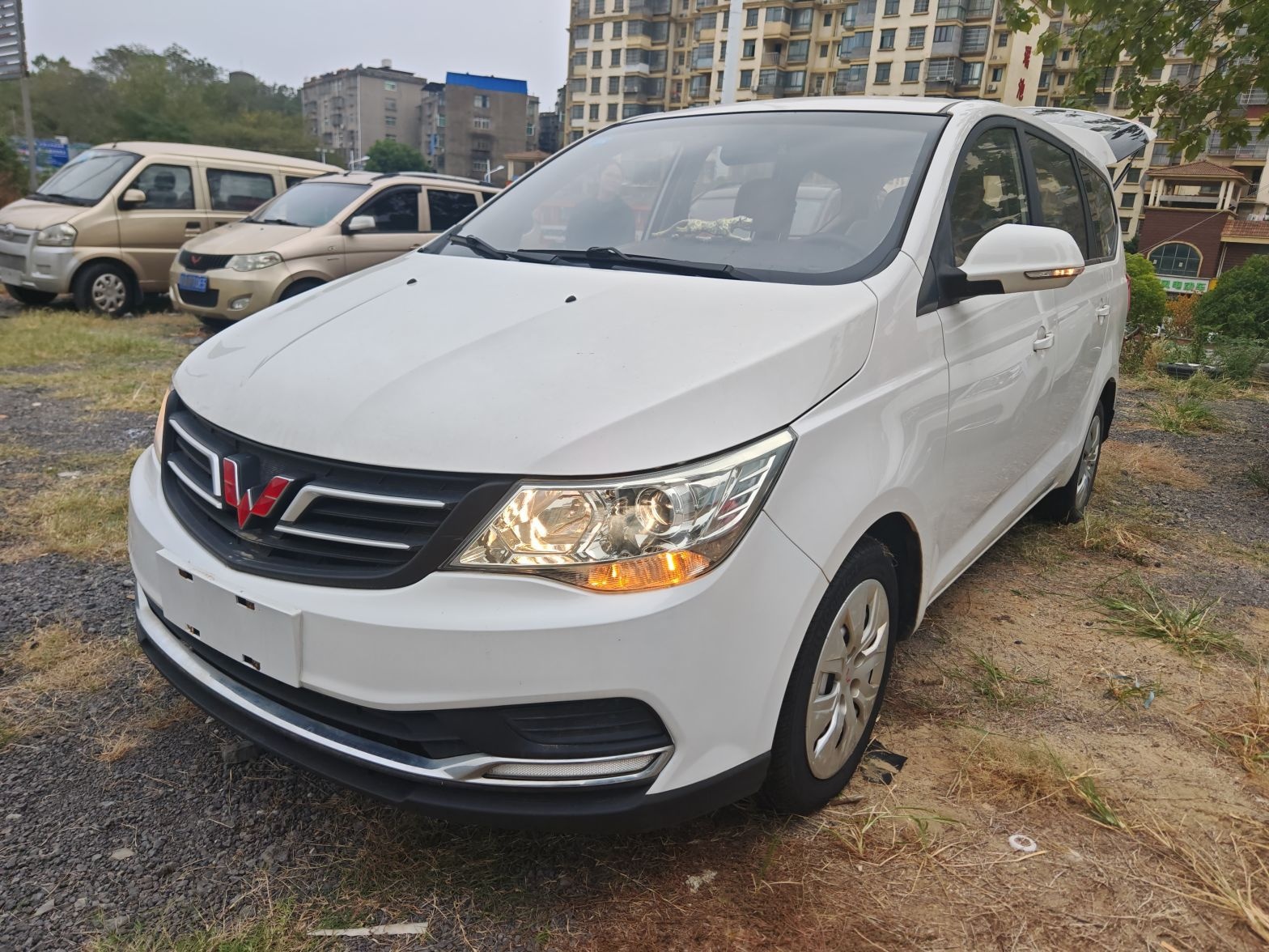 Wuling 730 2019 Wuling 730 2019 汽车图片
