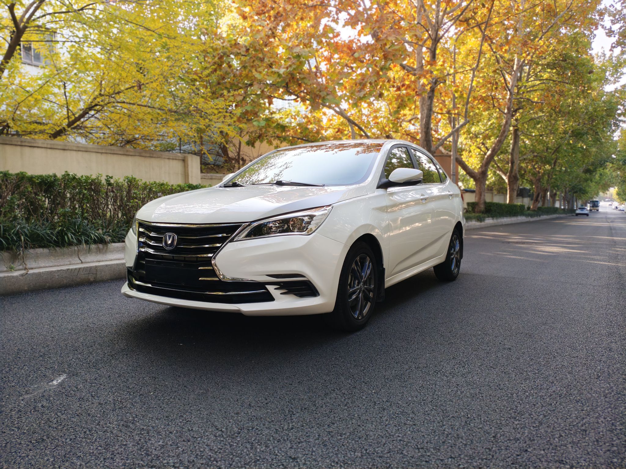 Changan Eado DT 2021 car image 