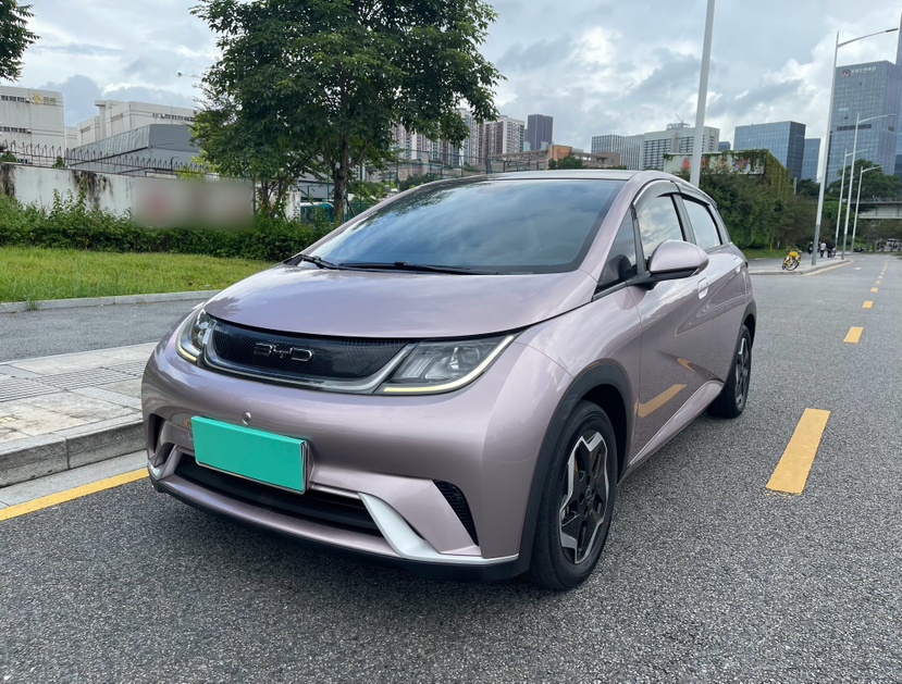 比亚迪 海豚 2022 汽车图片 