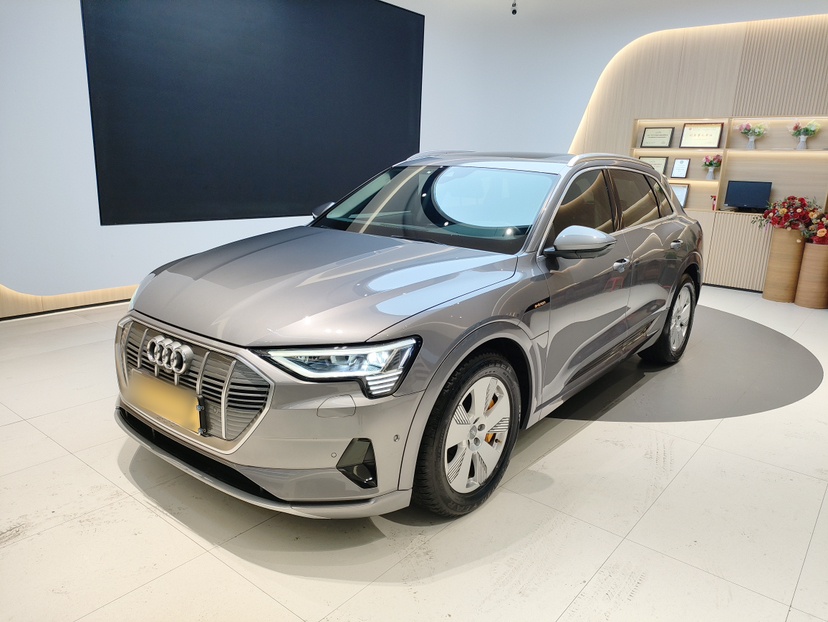 Audi e-tron (Imported) 2020 car image 