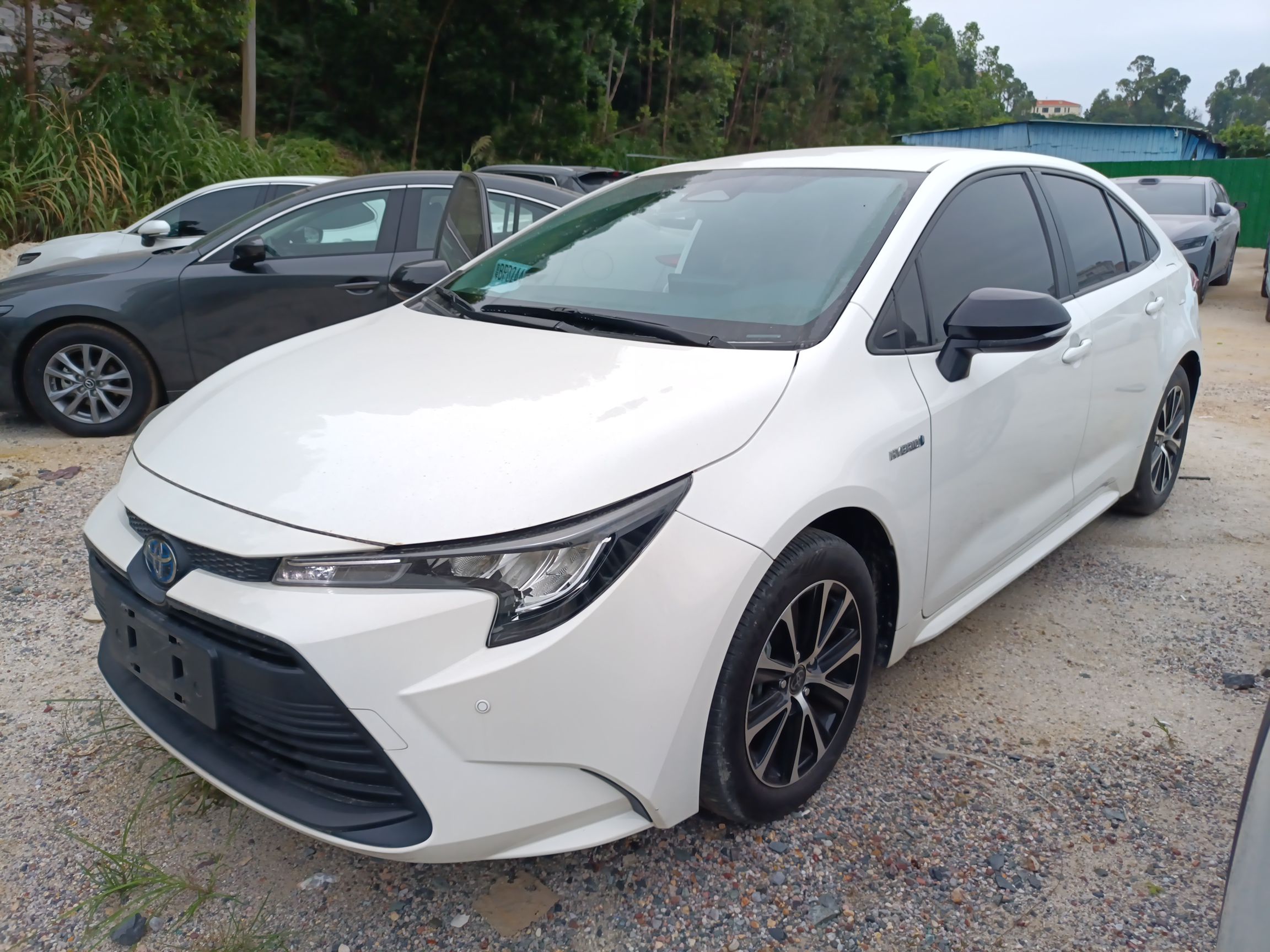 Toyota Levin 2024 imagen de coche 