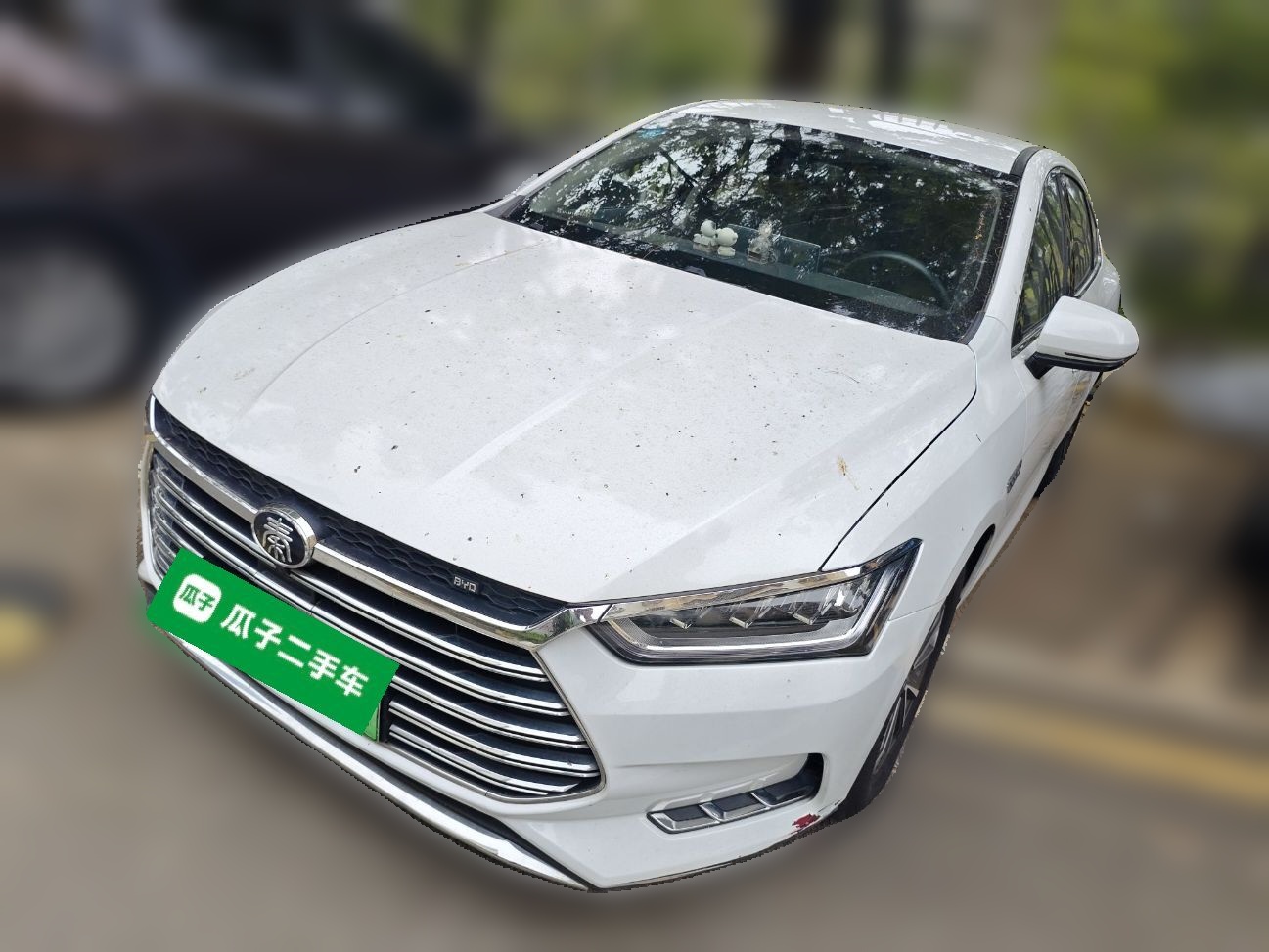 BYD Qin Pro New Energy 2018 car image 