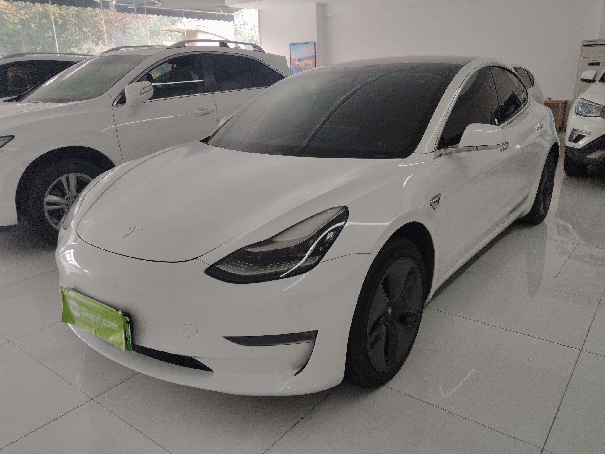Tesla Model 3 (Imported) 2019 汽车图片 