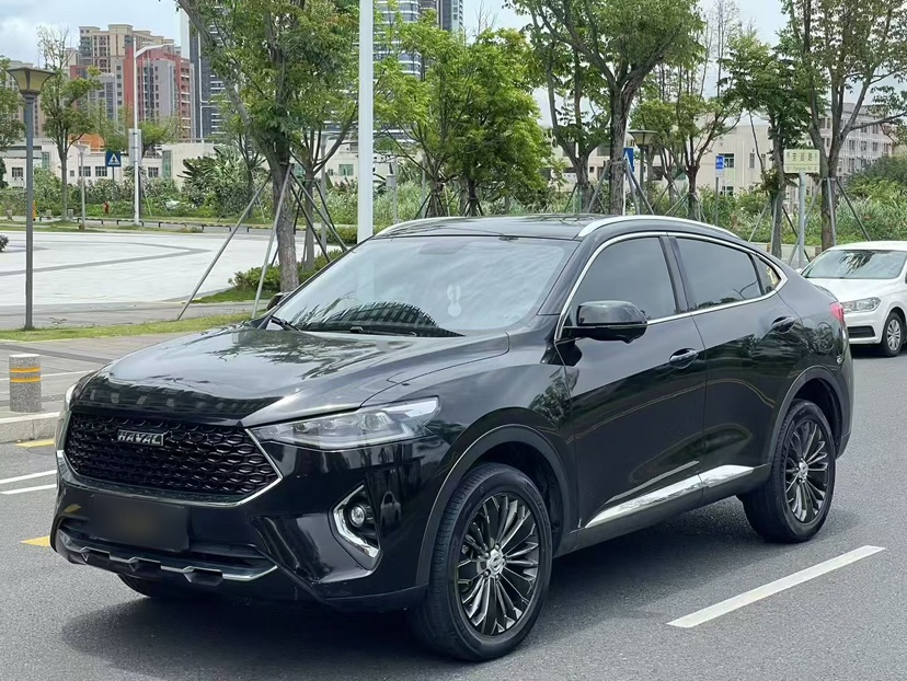 Haval F7x 2020 car image 