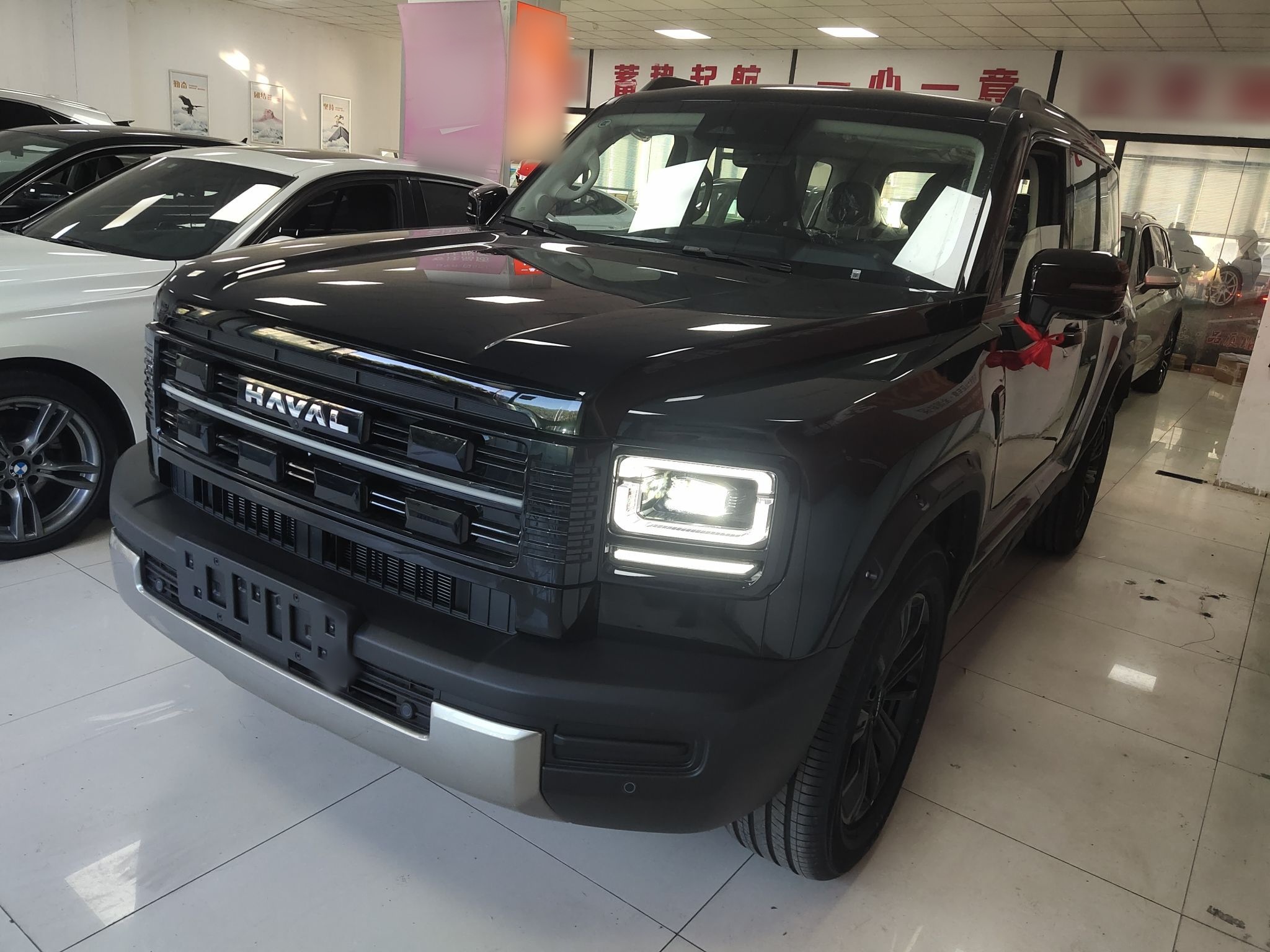 Haval Raptor New Energy 2025 car image 