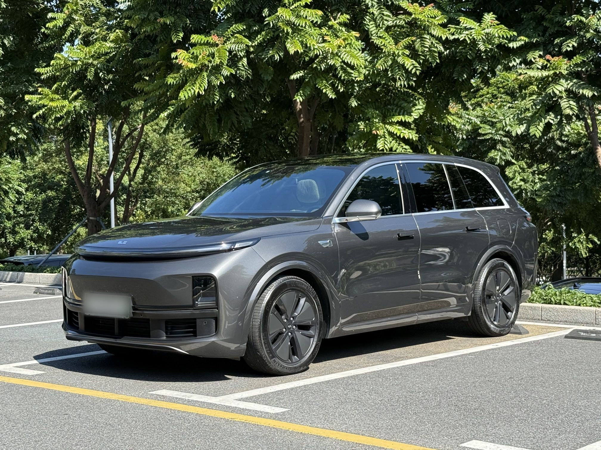 Li L8 2024 изображение автомобиля 