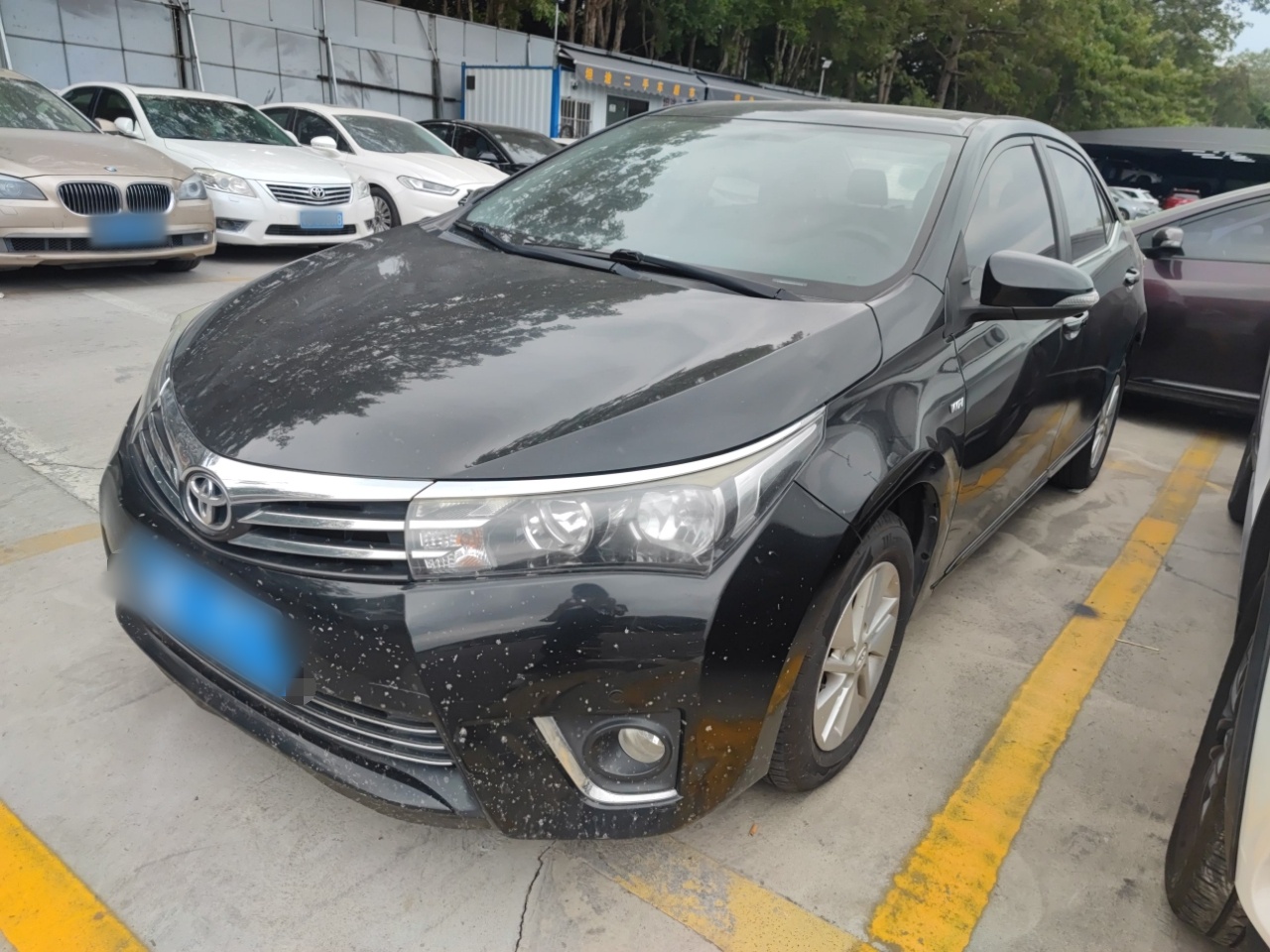 丰田 卡罗拉 2016 汽车图片 