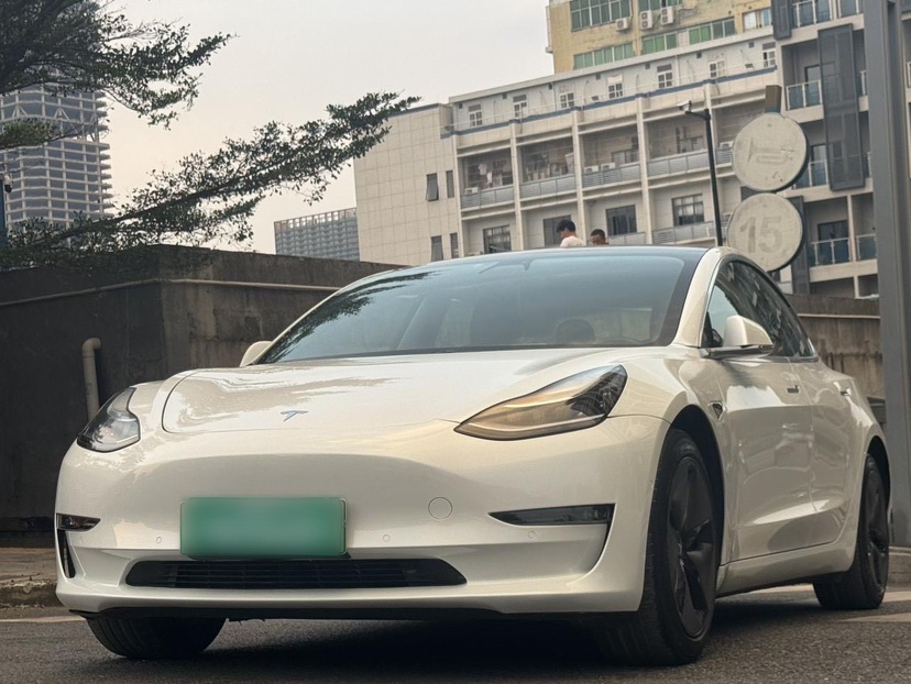 Tesla Model 3 (Imported) 2019 汽车图片 