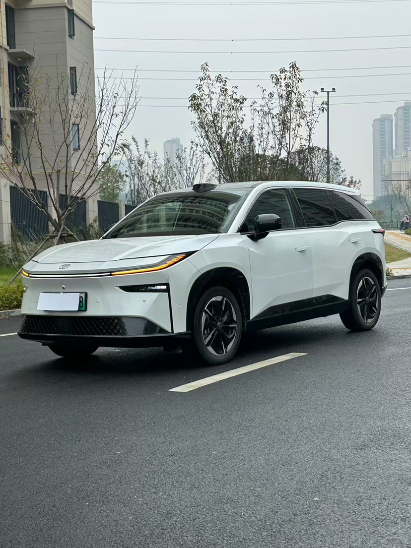 Toyota Bozhi 3X 2025 汽车图片 