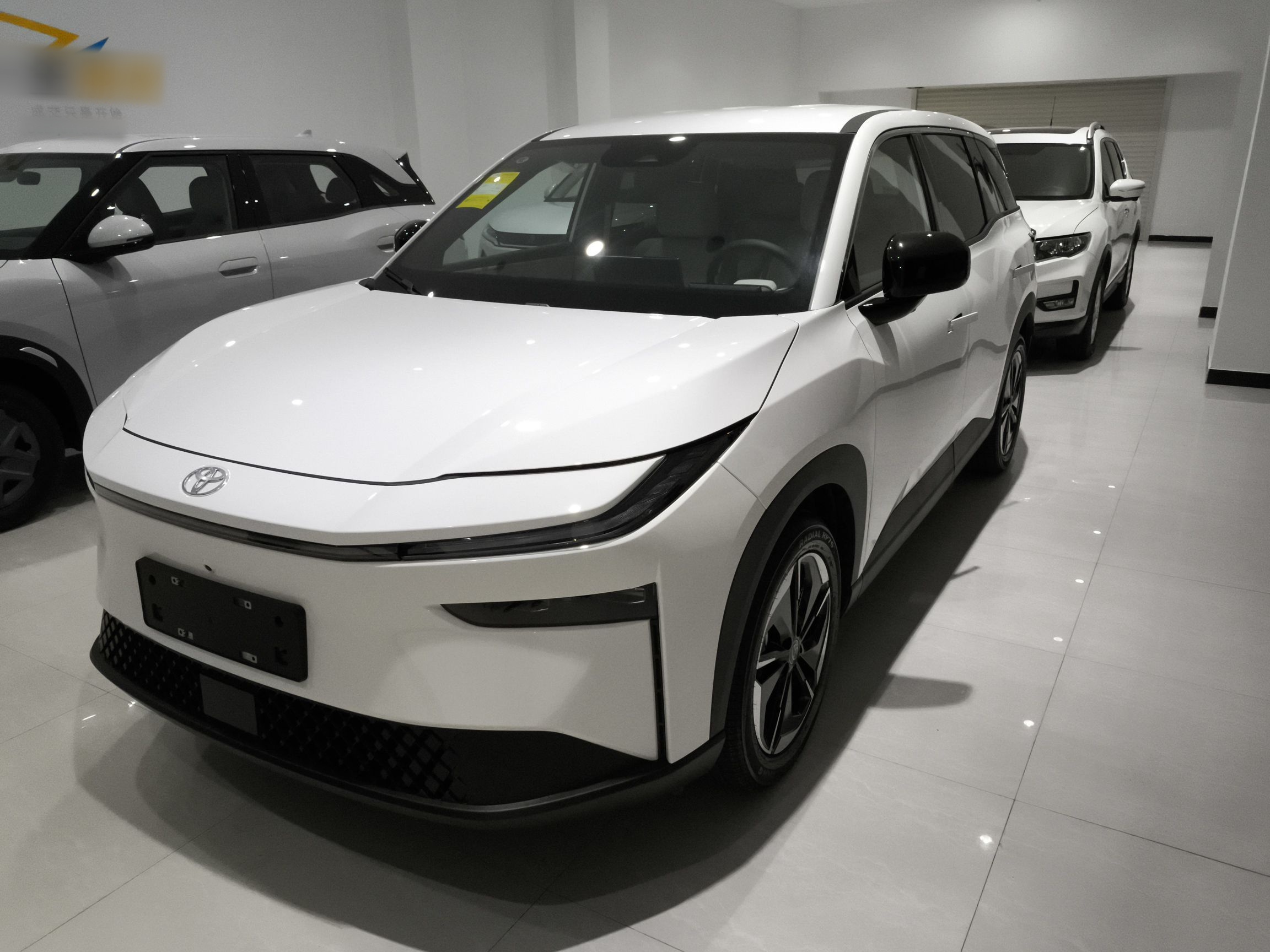 Toyota Bozhi 3X 2025 汽车图片 