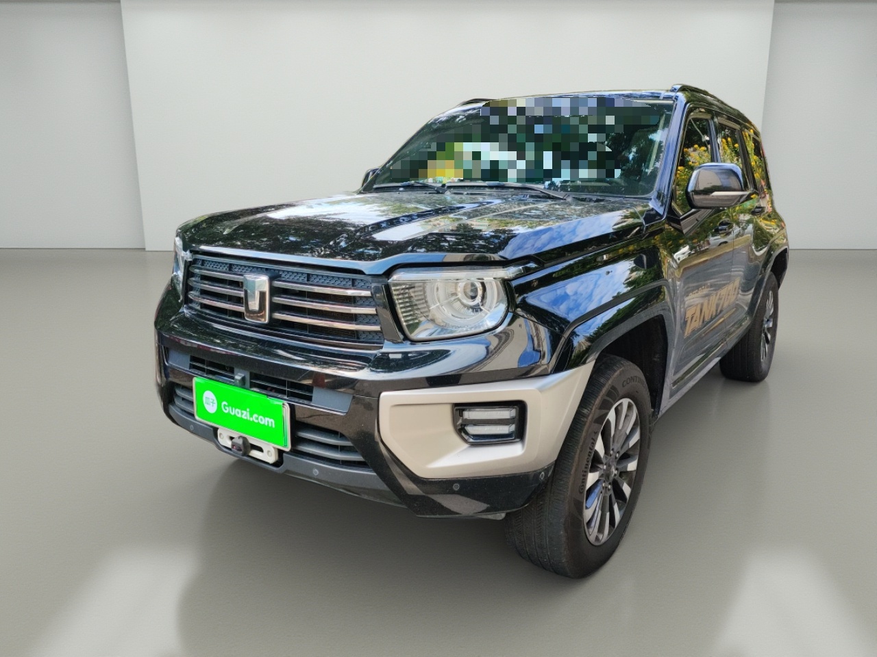 Tank 700 New Energy 2024 Tank 700 New Energy 2024 immagine di auto