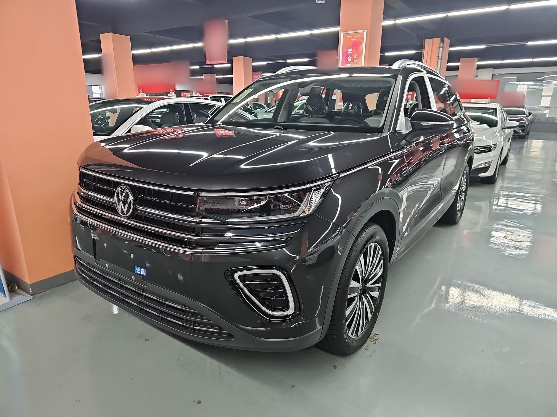 Volkswagen Tavendor 汽车图片 