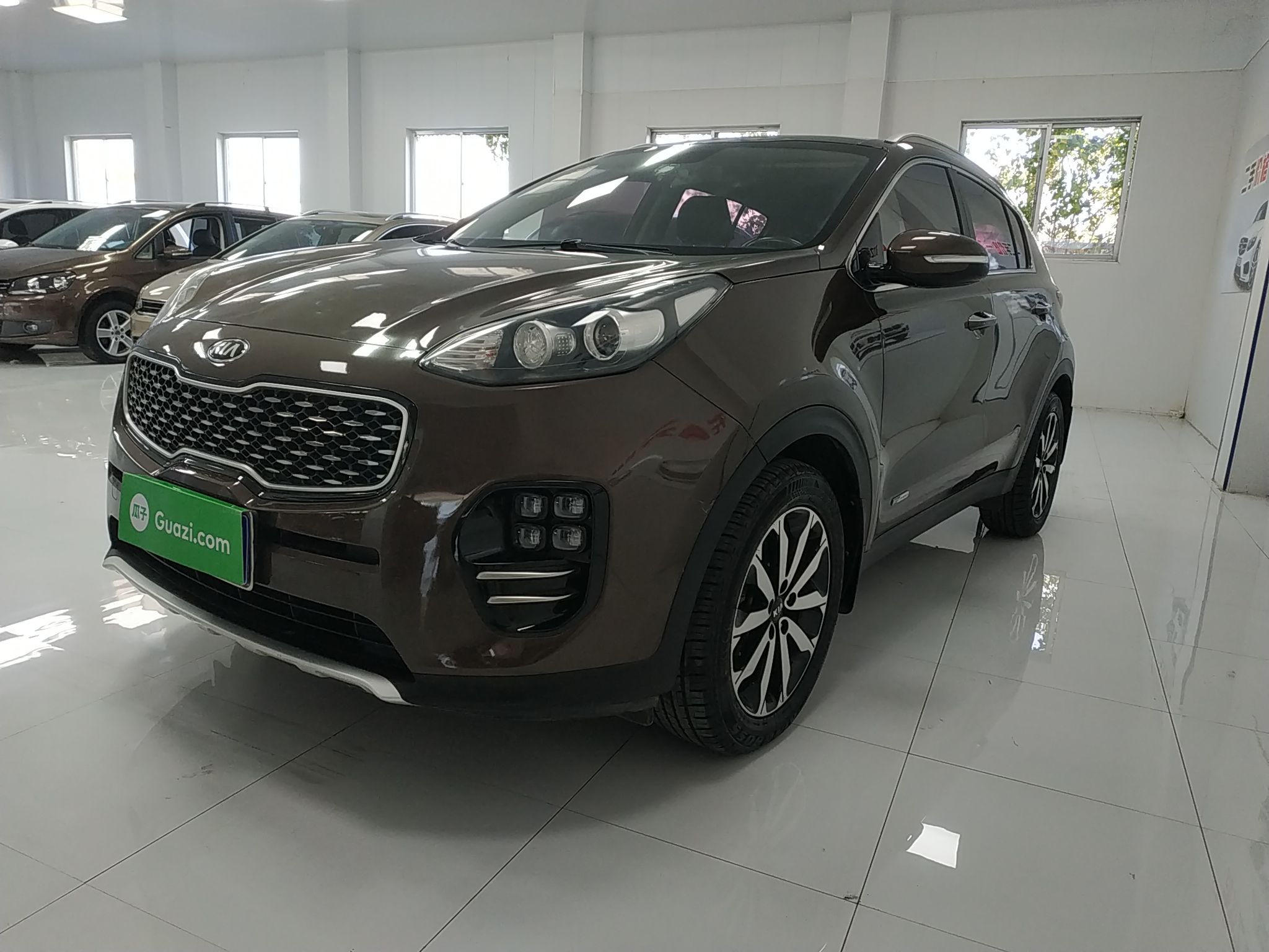 Kia KX5 2016 car image 