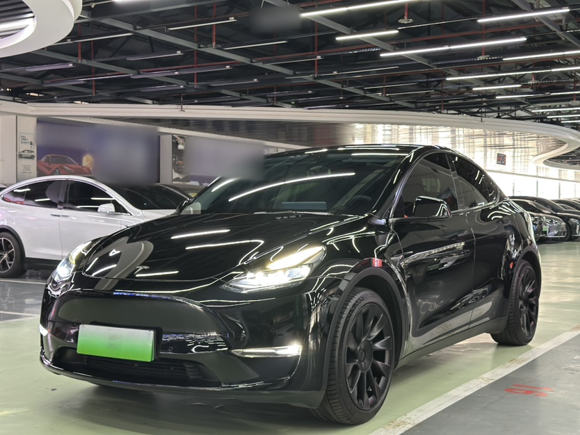 Tesla Model Y 2022 car image 