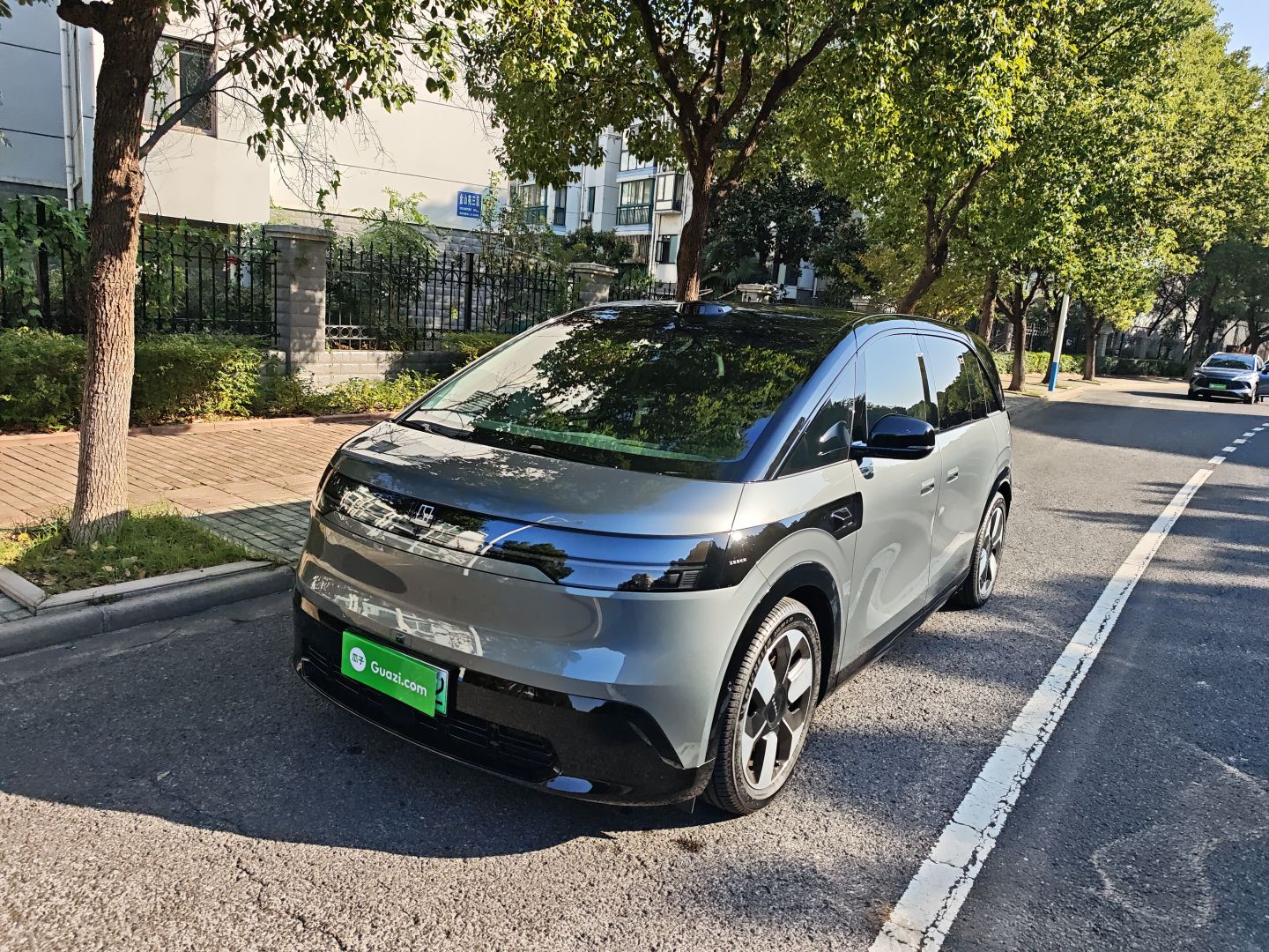 Zeekr MIX 2025 汽车图片 