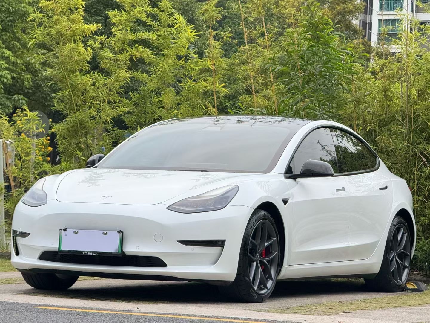 Tesla Model 3 2022 Tesla Model 3 2022 car image