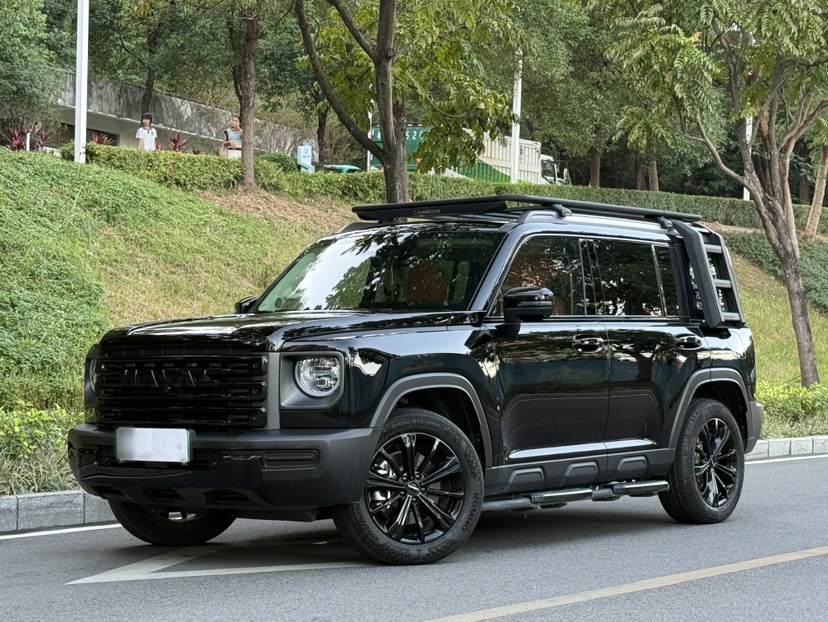 Haval Raptor New Energy 2024 car image 