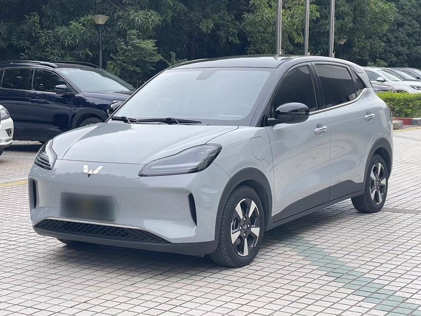 Wuling Binguo PLUS 2025 汽车图片 