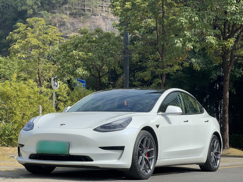 Tesla Model 3 2020 صورة سيارة 