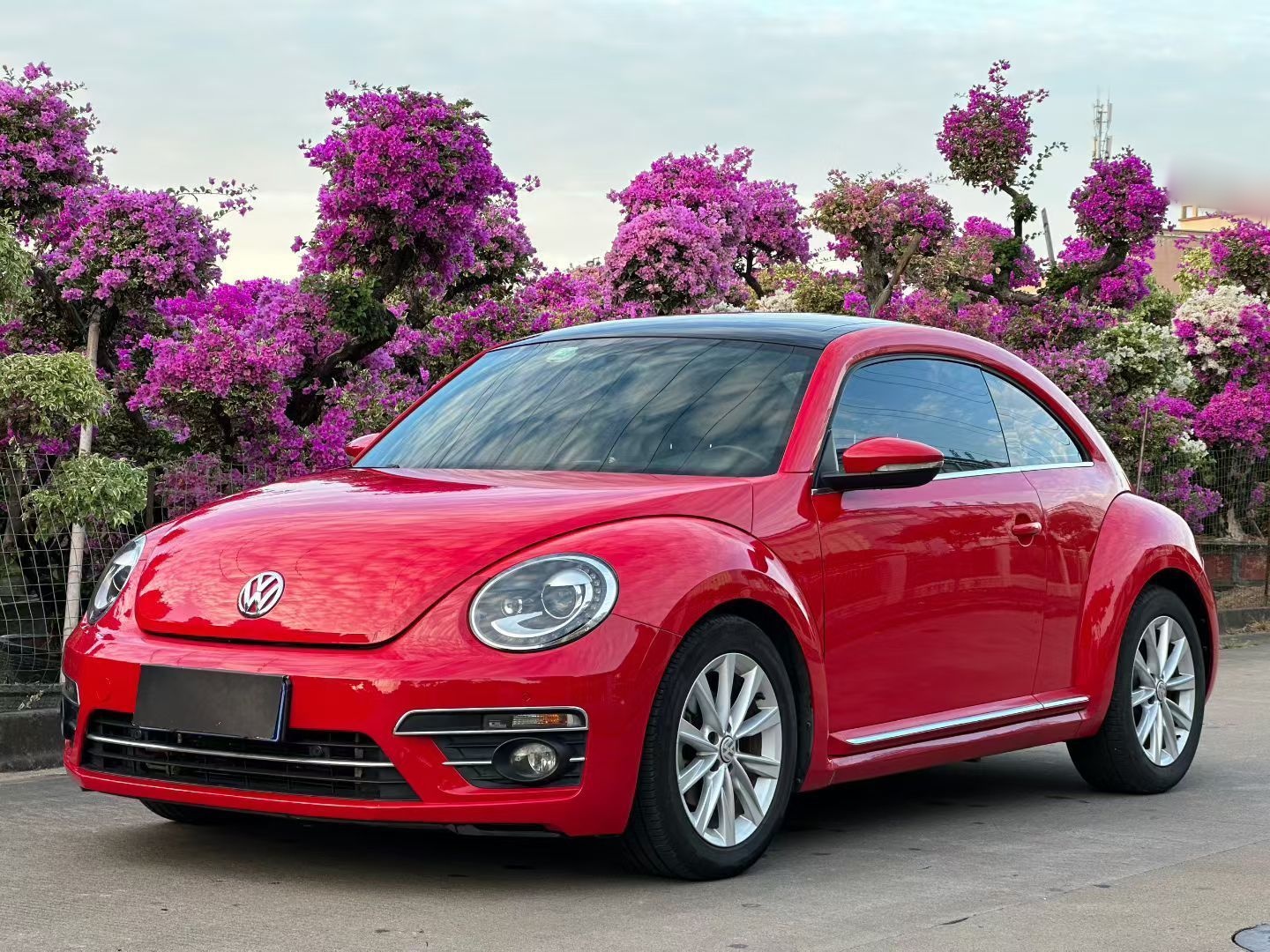 Volkswagen Beetle 2018 car image 