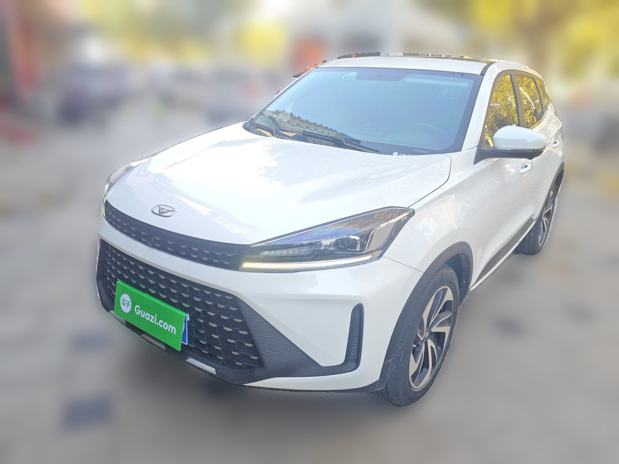 Showjet Pro 2021 imagen de coche 