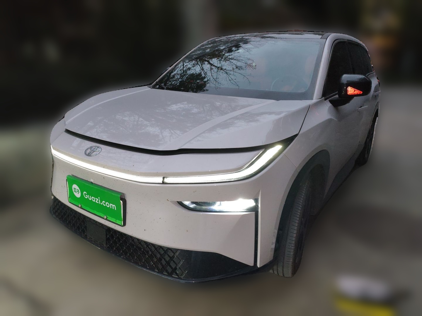 Toyota Bozhi 3X 2025 汽车图片 