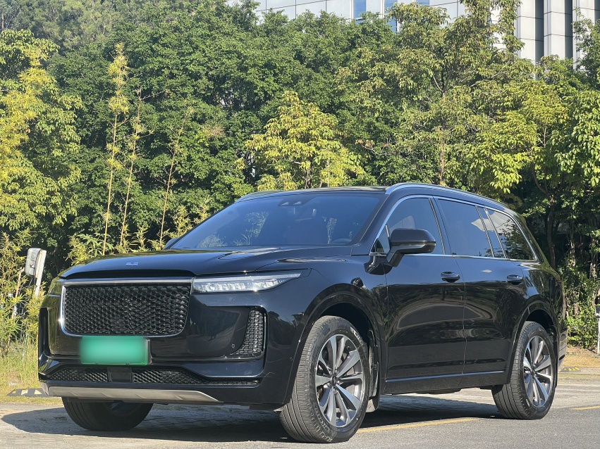 Li One 2019 汽车图片 