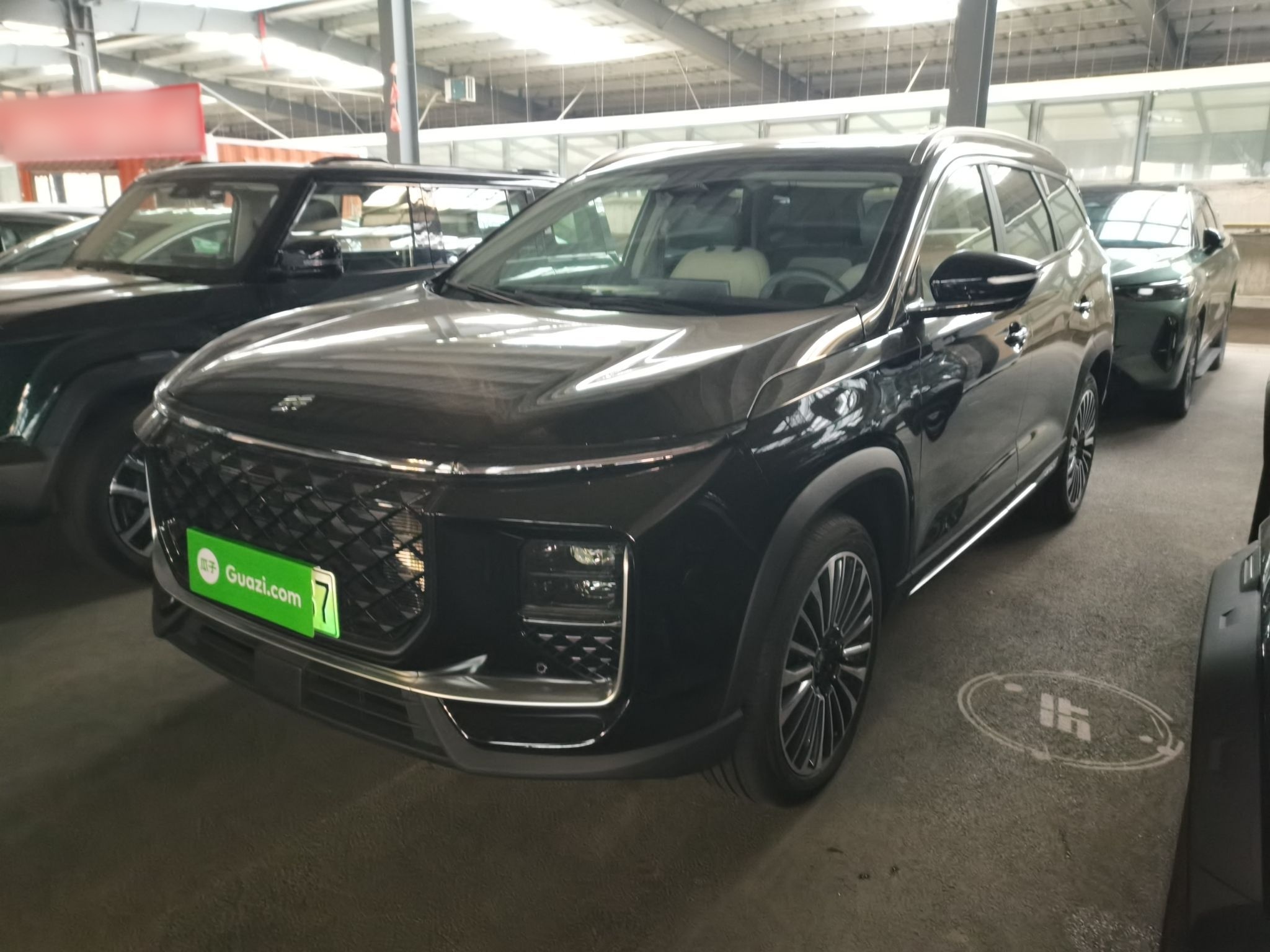 Jetour Shanhai L9 2024 汽车图片 