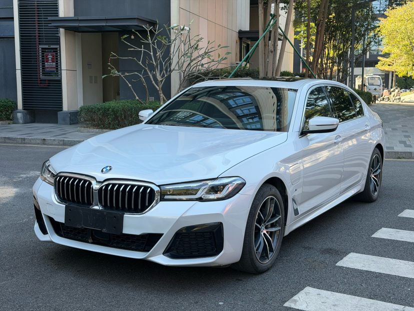 宝马 宝马5系新能源 2021 汽车图片 