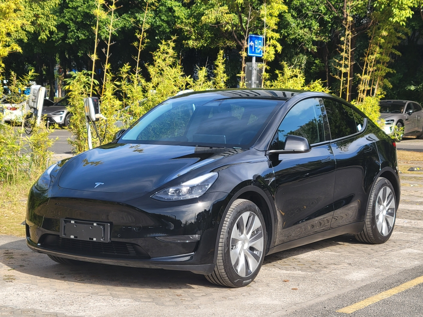 Tesla Model Y 2021 immagine di auto 