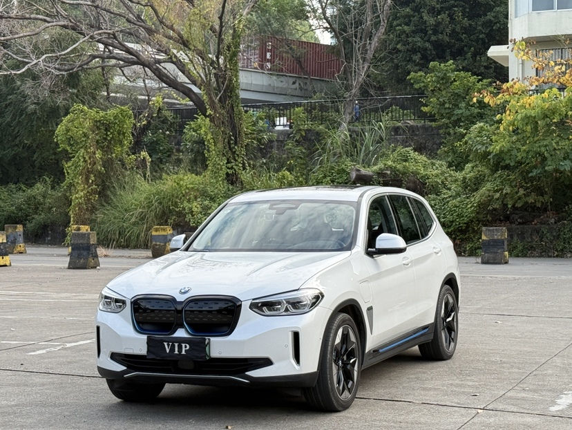 BMW iX3 2020 car image 