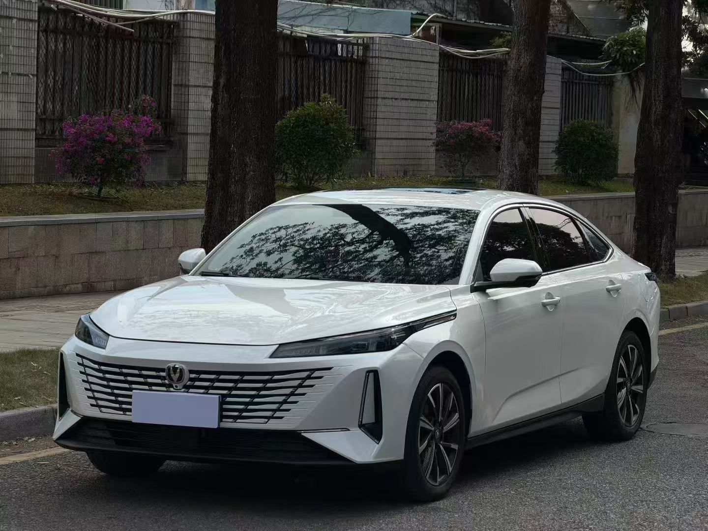 长安 逸动 2025 汽车图片 